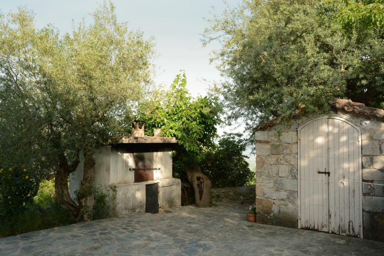 Mistra Estates Villa The Vine Pikouliánika Exterior foto