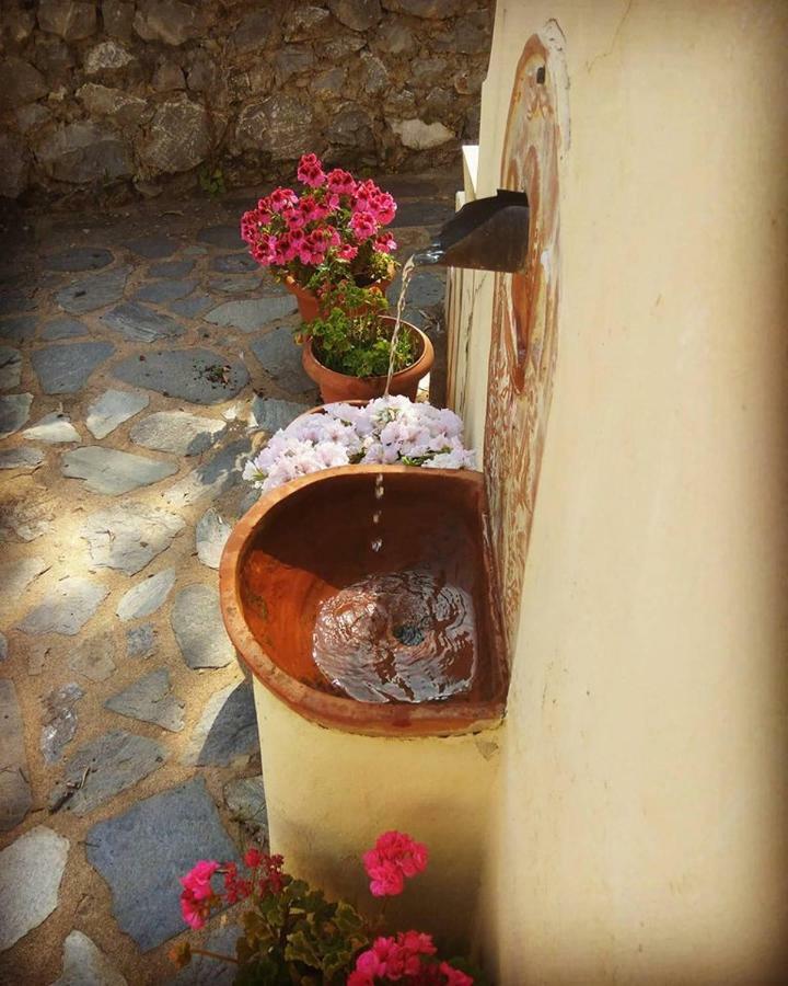 Mistra Estates Villa The Vine Pikouliánika Exterior foto